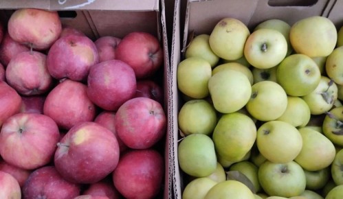 Еженедельная ярмарка в городе Мариуполь