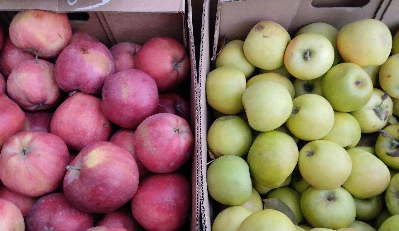 Еженедельная ярмарка в городе Мариуполь