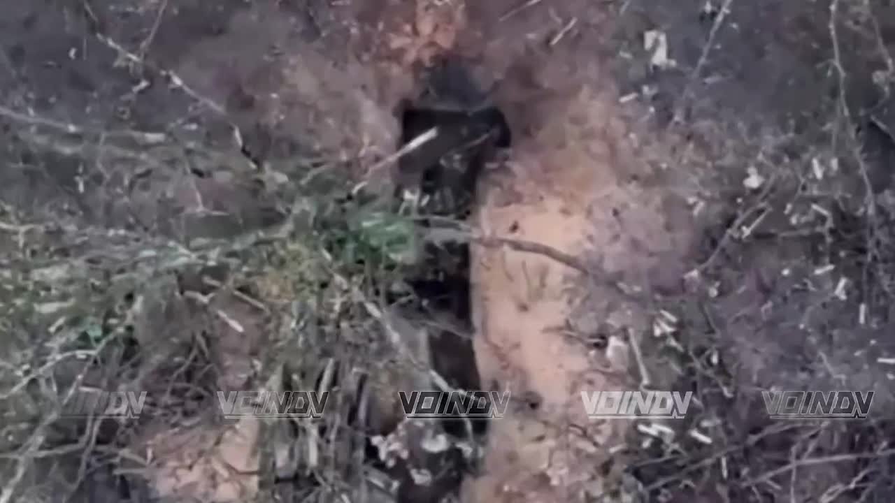 Операторы 36 армии группировки войск "Восток" планомерно уничтожают живую силу противника в лице военнослужащих 5 штурмовой бригады ВСУ к западу от Доброполья