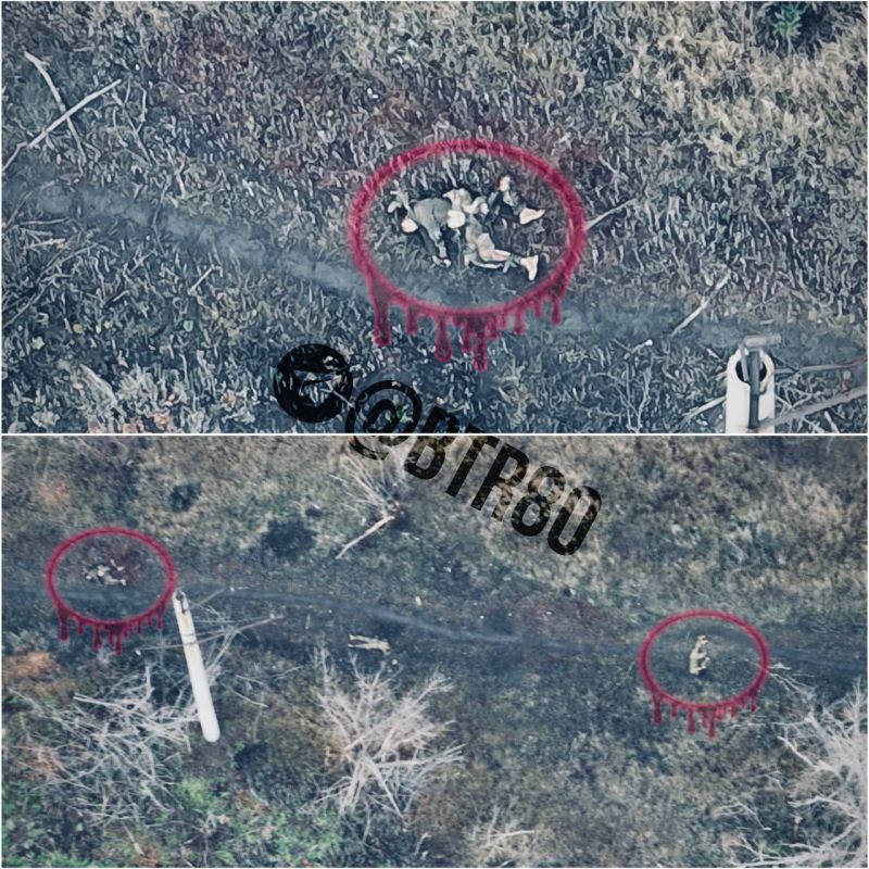 ������� �������: "�������� - �������!"