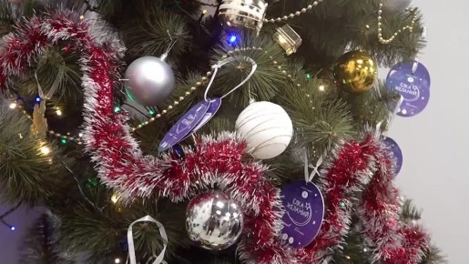 Денис Пушилин принял участие во Всероссийской акции «Елка желаний»