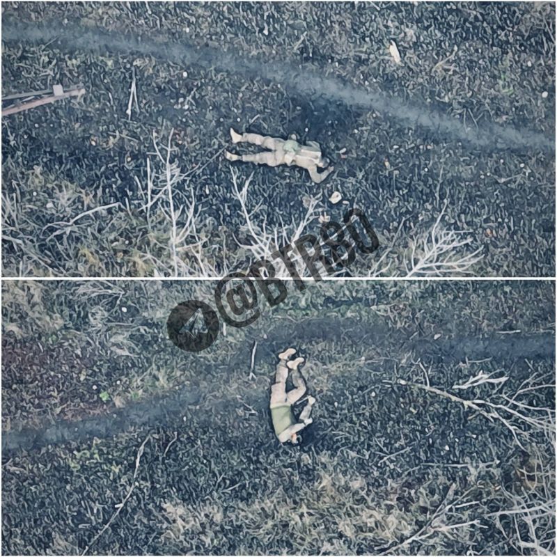 "�������" ���������� ���������� ����� � ���������� ��������� (����������)