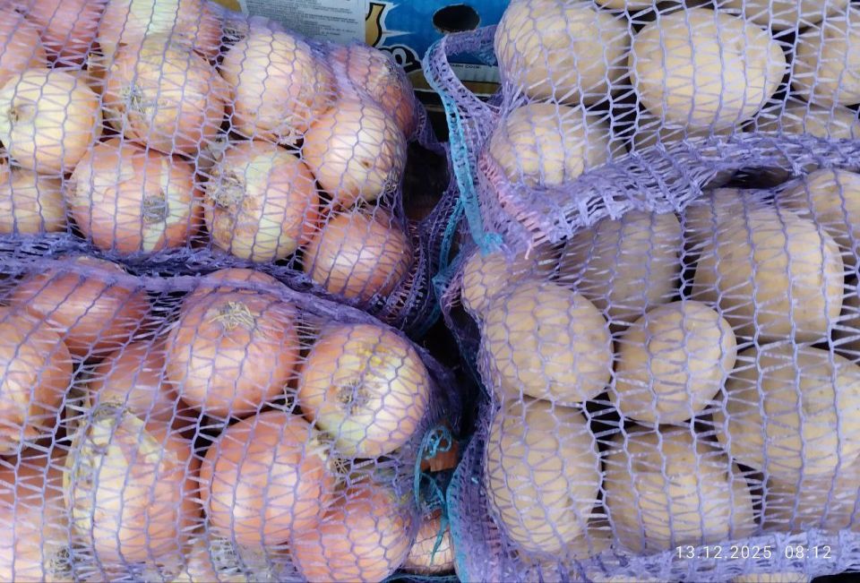 ������������ ������� � ������ ���������