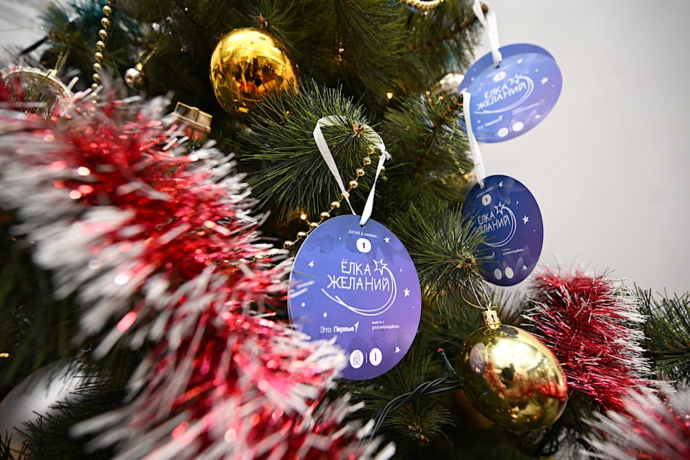 Глава ДНР Денис Пушилин принял участие во Всероссийской акции «Елка желаний» Глава ДНР Денис Пушилин принял участие во Всероссийской акции «Елка желаний»