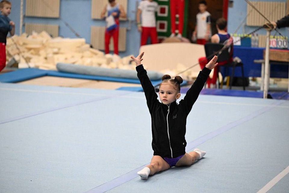 Более 600 детей занимаются спортивной гимнастикой в ДНР Более 600 детей занимаются спортивной гимнастикой в ДНР