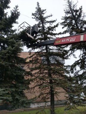 ��������� ������: � ������� �� ������.. �� 14.12.2025 �. ������������ ��� "����" ��������� ��������� ���� �����: ��������������� ��������� ��������� �� ��. �������� ������ ������������ ������� ��������� ���� ������...