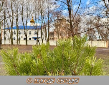 Александр Шатов: 14 декабря в Республике ожидаются порывы ветра до 12 метров в секунду, осадки маловероятны