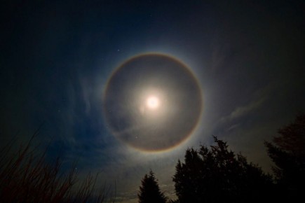 ������ ���� � ����������� ��������� ������