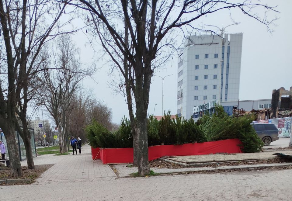 Ёлочные базары уже на улицах Мариуполя Ёлочные базары уже на улицах Мариуполя