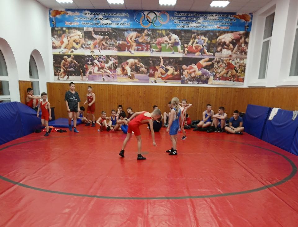 В Торезе состоялось открытое первенство по вольной борьбе в рамках проекта "Выбор сильных"