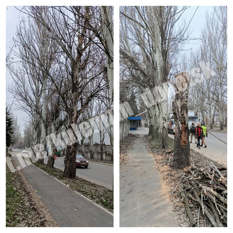 Алексей Кулемзин: Сегодня сотрудники коммунального предприятия «Зелёное строительство» убрали и вывезли опавшую листву, ветки, также устраняют последствия непогоды, выполняя распил деревьев Алексей Кулемзин: Сегодня сотрудники коммунального предприятия «Зелёное строительство» убрали и вывезли опавшую листву, ветки, также устраняют последствия непогоды, выполняя распил деревьев