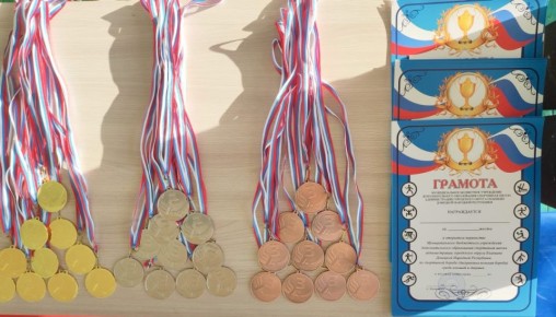 Открытое первенство по вольной борьбе