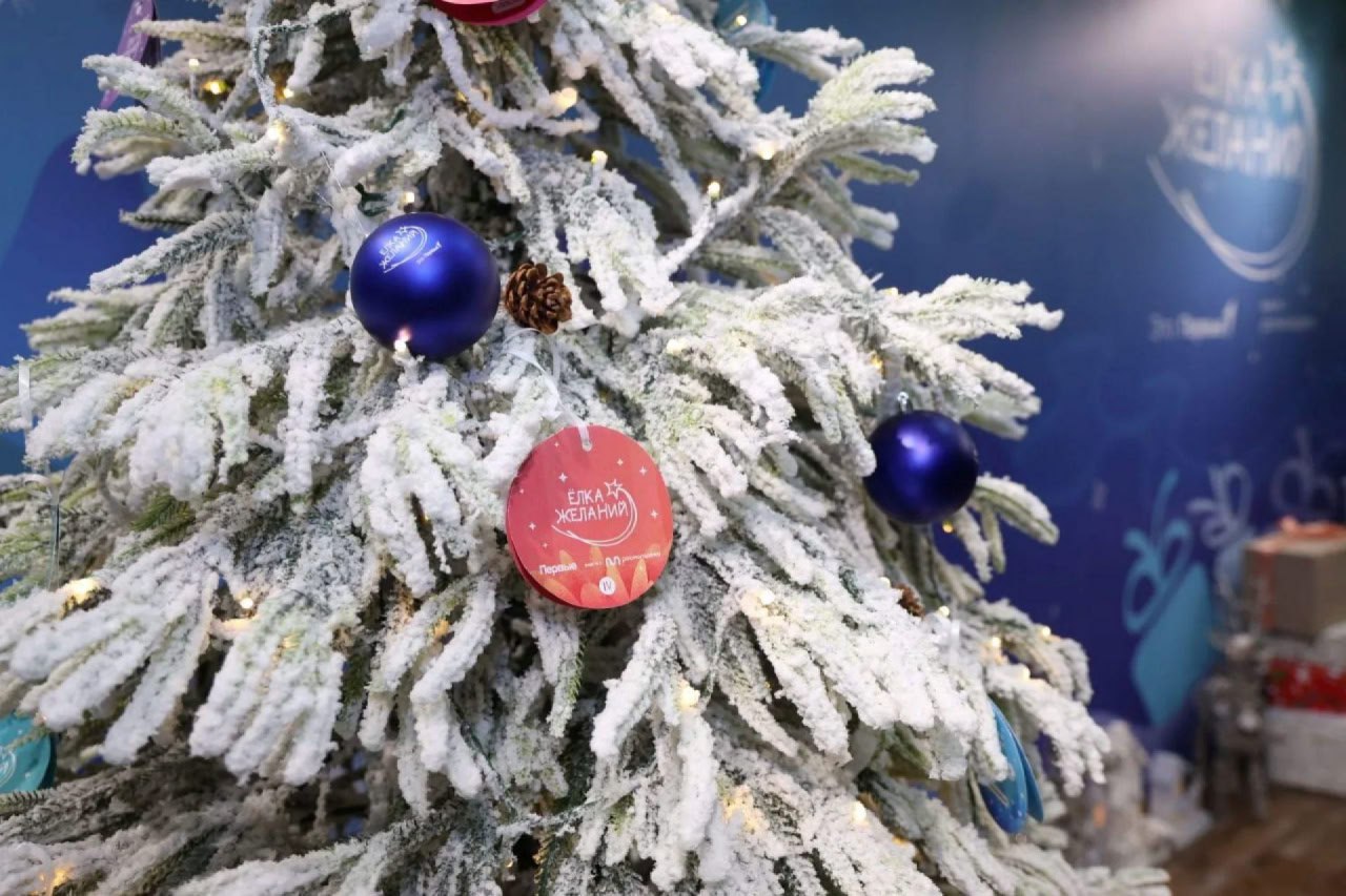 Губернатор Магаданской области исполнит желание мальчика из Ждановки Губернатор Магаданской области исполнит желание мальчика из Ждановки