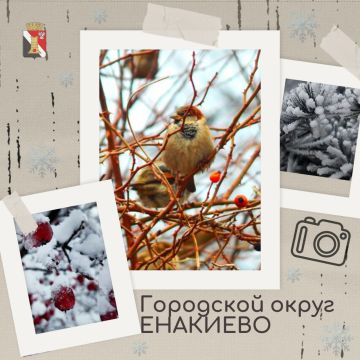 ��������� ������ ���������� ������ ��������