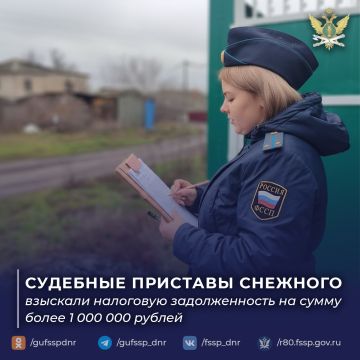 Судебные приставы Снежного взыскали налоговую задолженность с предпринимателя на сумму более 1 млн рублей