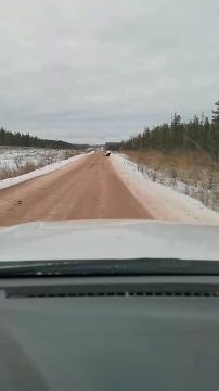 ������, ���������: ������� ����, ����� ����� �� ������ � ������