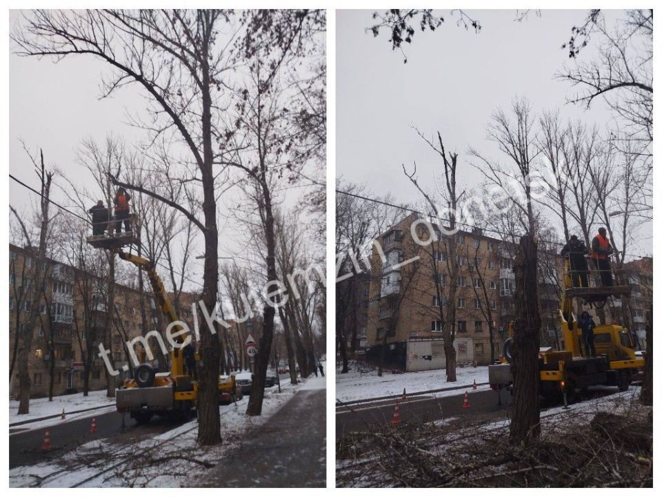 ������� ��������: ������� ���������� ������������� ����������� ������� ������������� ������ � ������� ������� ������ � �����, � ����� ��������� ����������� ��������, �������� ������ ��������