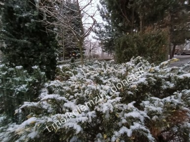 Алексей Кулемзин: Парк культуры и отдыха им. А.С. Щербакова надел сверкающий искрами белый наряд!