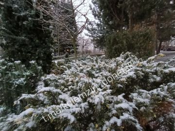 Алексей Кулемзин: Парк культуры и отдыха им. А.С. Щербакова надел сверкающий искрами белый наряд!