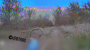 Привет. Группа боевиков 38 бригады морской пехоты не донесла припасы окруженным в Димитрове ВСУшникам @btr80