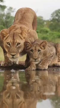 С добрым утром, Мариуполь!