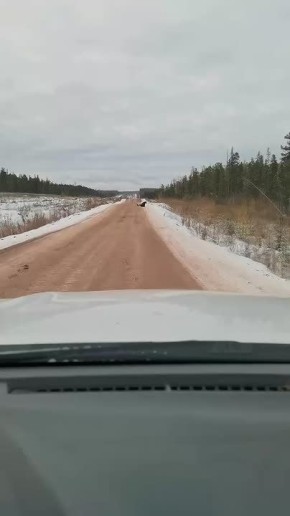 ������, ���������: ������� ����, ����� ����� �� ������ � ������