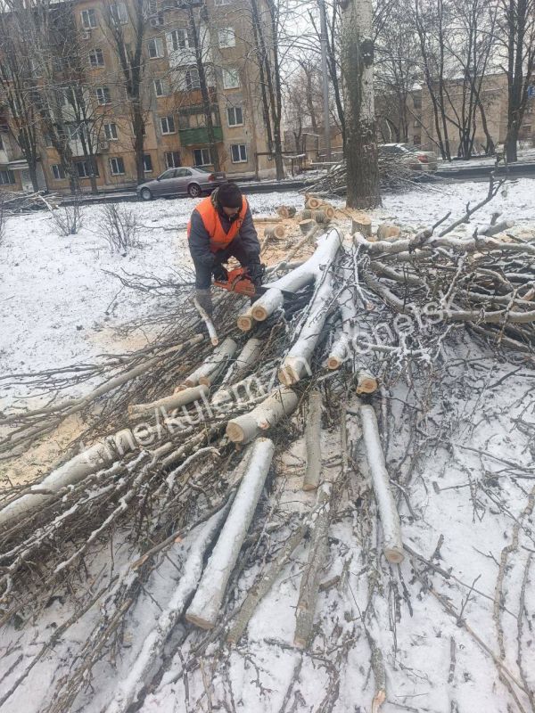 ������� ��������: ������� ���������� ������������� ����������� ������� ������������� ������ � ������� ������� ������ � �����, � ����� ��������� ����������� ��������, �������� ������ ��������