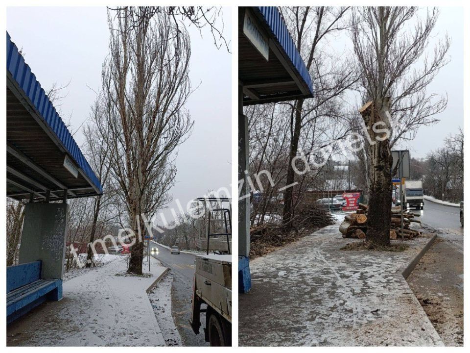 ������� ��������: ������� ���������� ������������� ����������� ������� ������������� ������ � ������� ������� ������ � �����, � ����� ��������� ����������� ��������, �������� ������ ��������