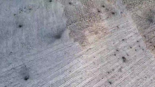 ��, ��� ���� �������� � ���, � ����� � ������� ��������� ������� � �������