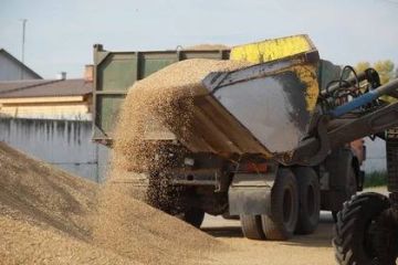 � ������������� ������ ���������� ��������� ��������� �� 20 ����� ���� �����