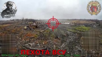 ����������� ����� ���� 425 ����� "�����" ��� �������� ���� ������� "�����������" �� ���������� �����������