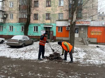 � �������, ����������� ��� ��������