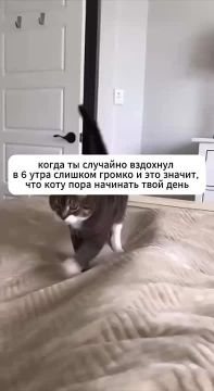 ����� ����������� ��������� �������� ���