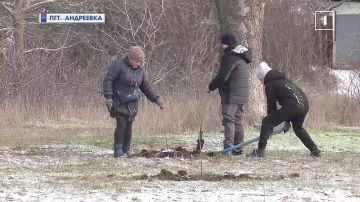 �������� ����� 80 ��������: � ��������� ����� ��� ������!