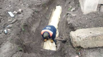 ����������� ���������� ������ �� ����������� � �����������