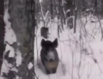 ����� ������� � ������� ������������ �������� ����� �ڻ