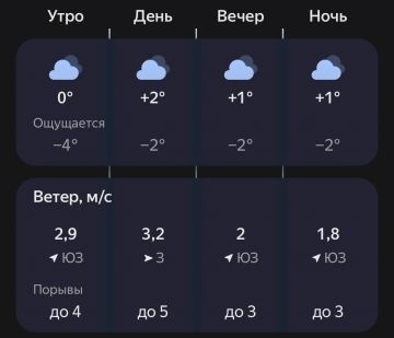 Природа так и не определилась с тем, наступила ли зима