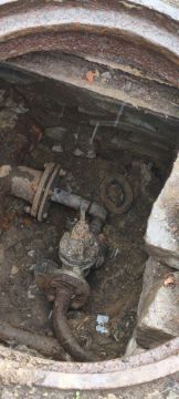 ����� �����: ������������� ��������� ������� ���������� ������ ����� � ��������� � ���������