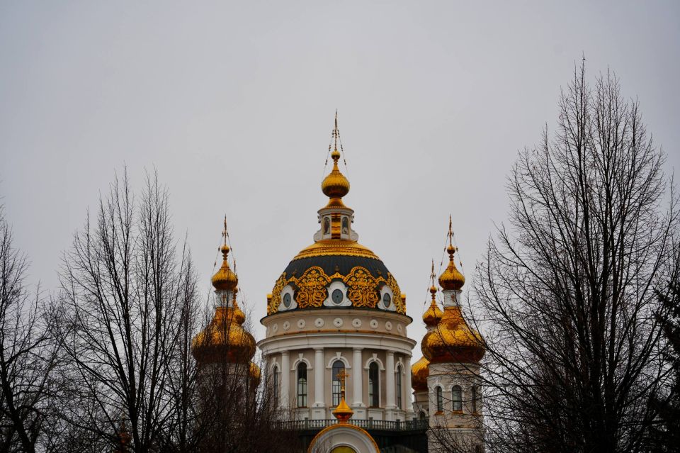 ������ �������: ��� �����, �������� �� �������������� ��������������� �������, � ������� � ��������, ������� � �����