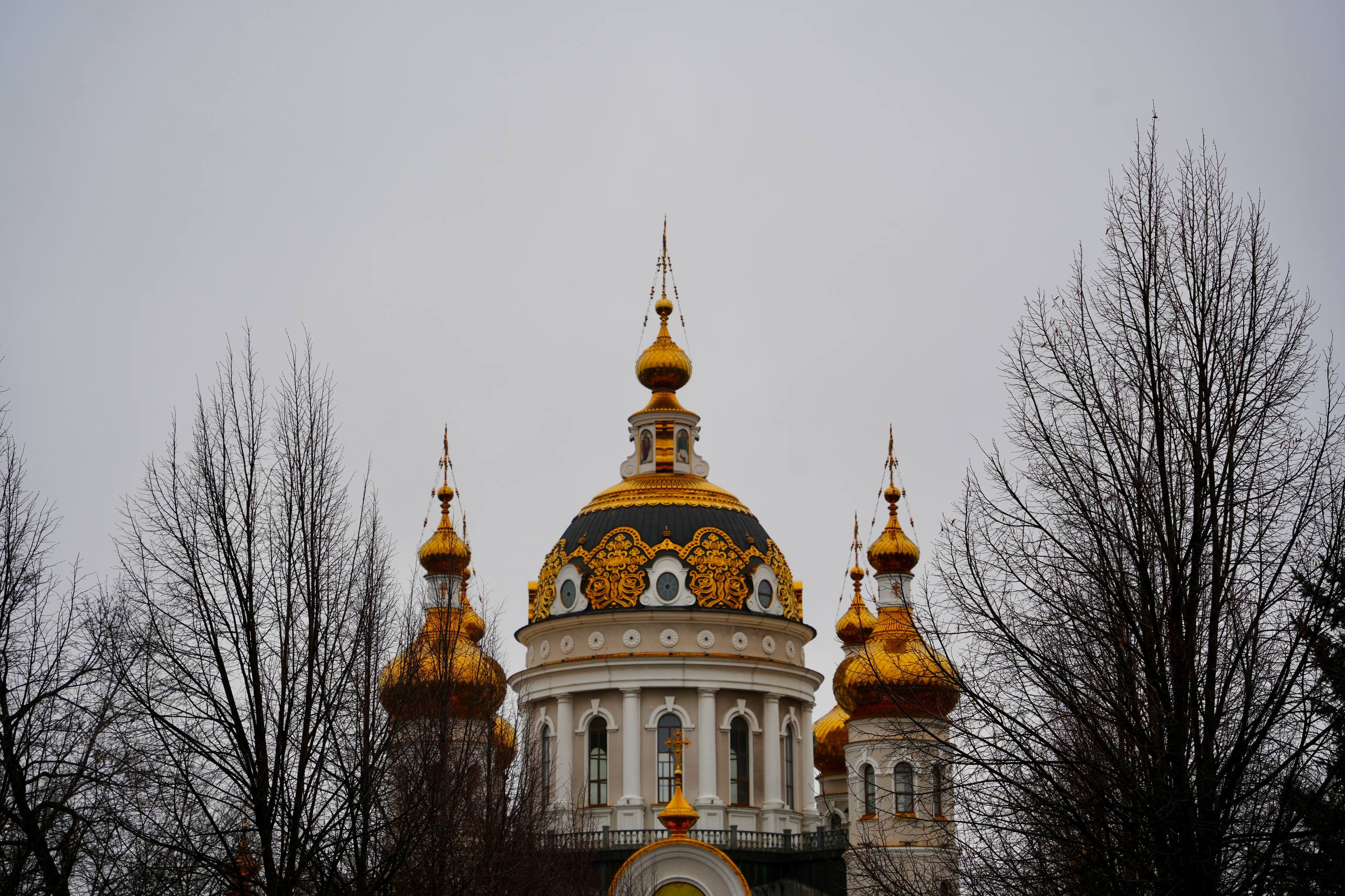 Кирилл Макаров: Год назад, выступая на Рождественских образовательных чтениях, я говорил о проектах, успехах и делах Кирилл Макаров: Год назад, выступая на Рождественских образовательных чтениях, я говорил о проектах, успехах и делах