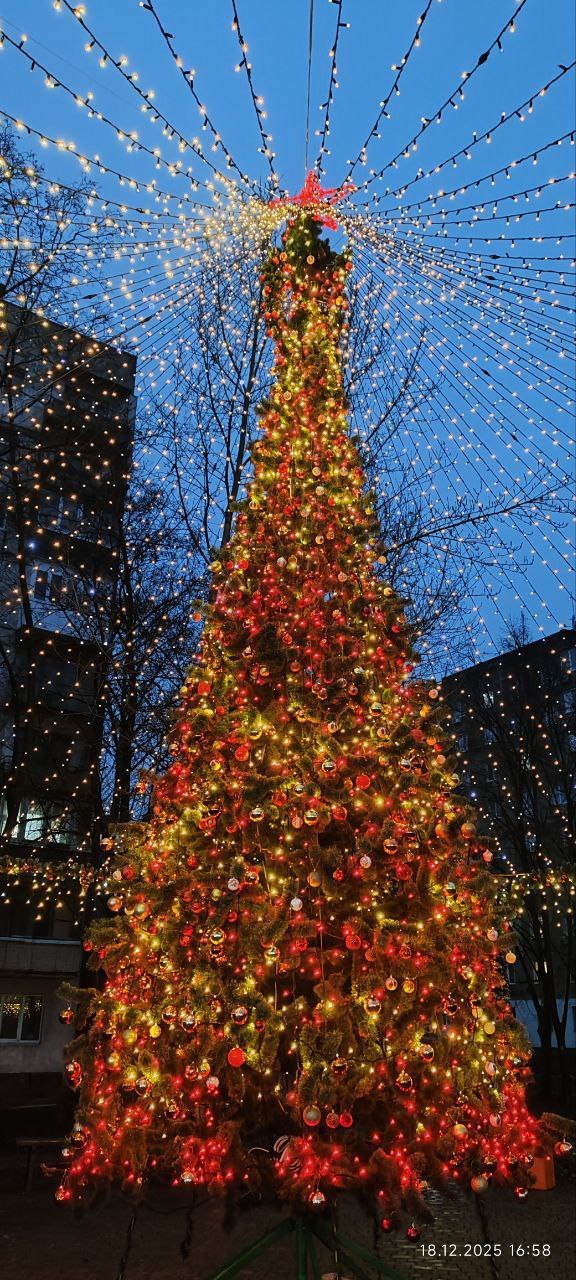 Новогодняя красота в «Тихом парке» в Макеевке Новогодняя красота в «Тихом парке» в Макеевке