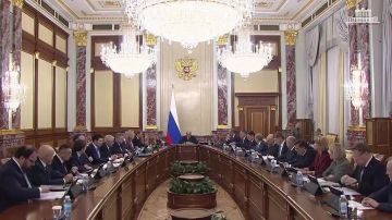 Правительство РФ запускает грантовую программу поддержки агроколледжей