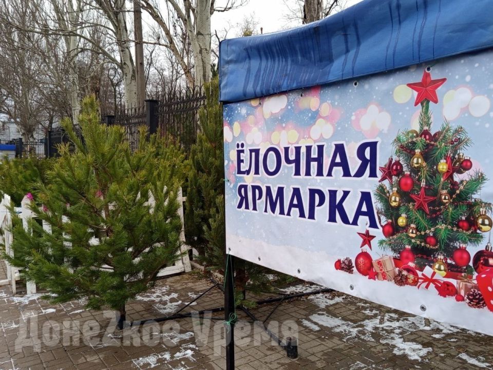 Новогодние деревья на любой вкус и кошелек: в Донецке заработали ёлочные базары Новогодние деревья на любой вкус и кошелек: в Донецке заработали ёлочные базары