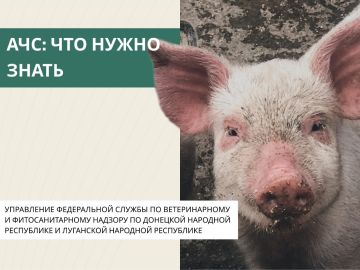 ����������� ���� ������ (���) �������� ����� �� ����� ��������� ����� ��� ��������������, ������ �������� ������������� �����