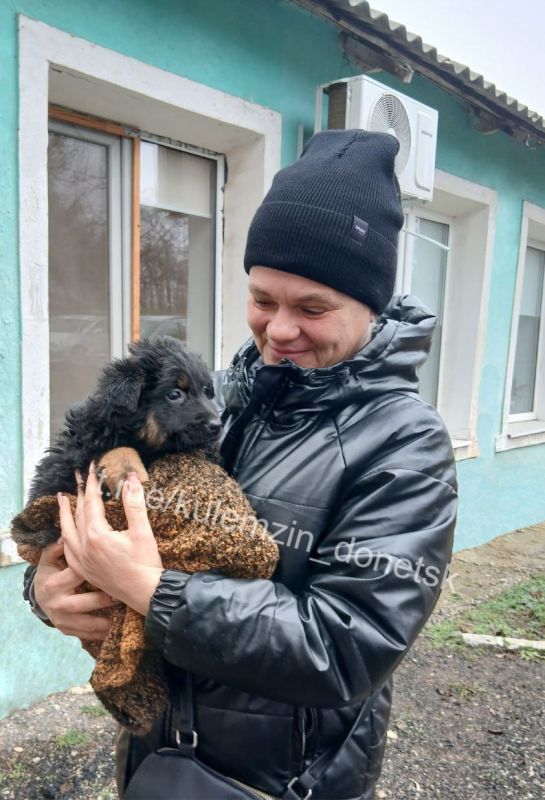 Специалисты предприятия «Животные в городе» продолжают активную работу по спасению бездомных животных Специалисты предприятия «Животные в городе» продолжают активную работу по спасению бездомных животных