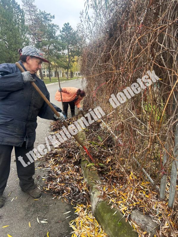 Специалисты Дирекции парков продолжают работу по улучшению городской среды Специалисты Дирекции парков продолжают работу по улучшению городской среды