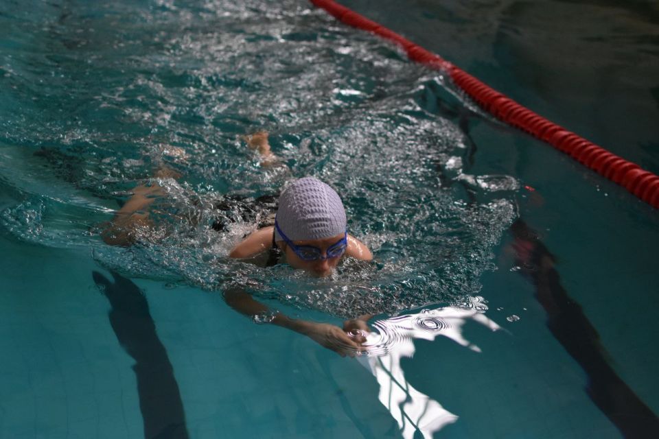 ������� ������: �������� ������ ���� ������������ ������� ����������� ��������������� ������������