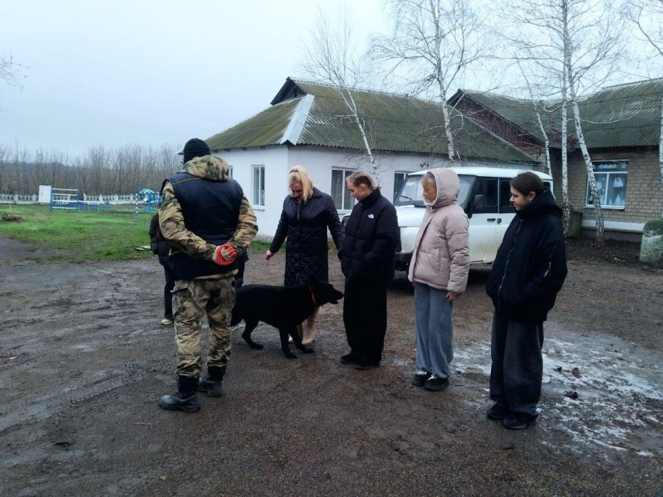 Росгвардия провела урок безопасности в Марьяновской школе Росгвардия провела урок безопасности в Марьяновской школе
