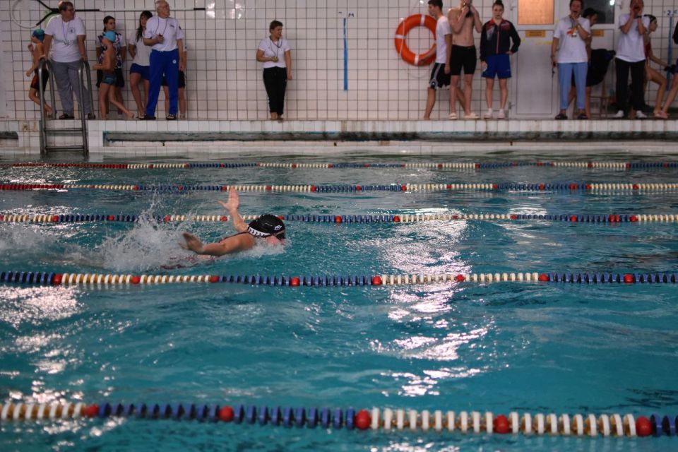 ������� ������: �������� ������ ���� ������������ ������� ����������� ��������������� ������������