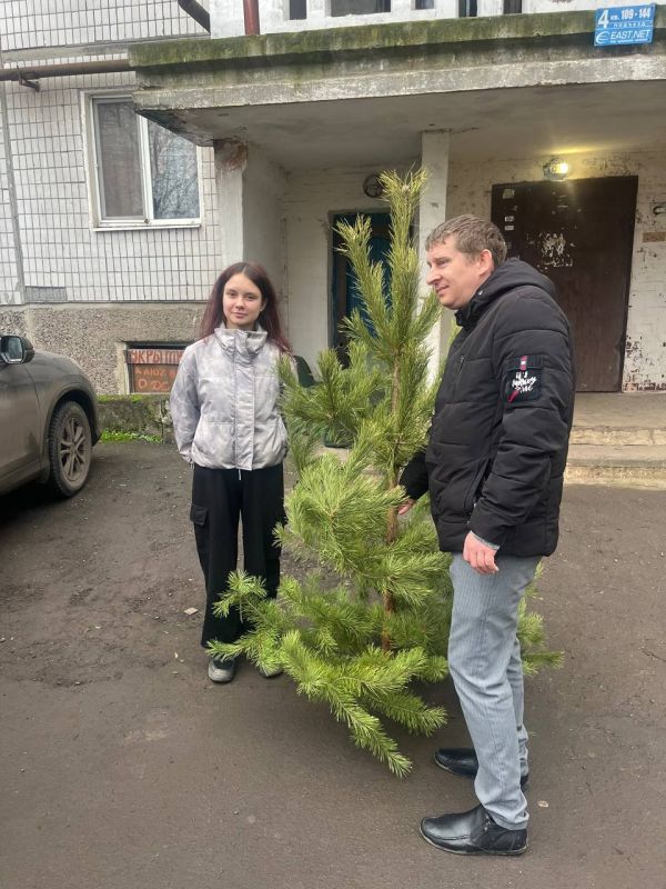 Елена Рязанцева: 10 семей участников спецоперации получили пушистые сосны Елена Рязанцева: 10 семей участников спецоперации получили пушистые сосны